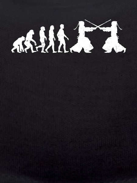 Kendo Fighter Kendo Evolution