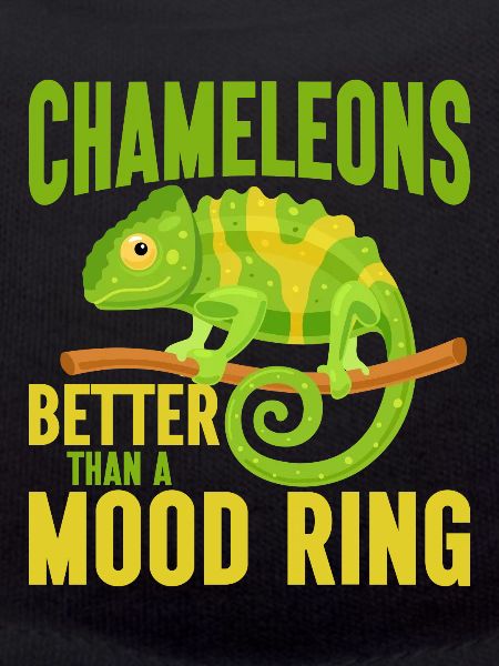 Cadeaux Caméléon