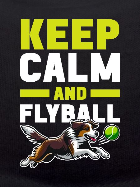 Flyball Dog Sports
