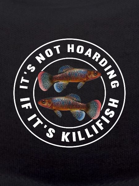 Killifisch Aquarium Fish Lovers