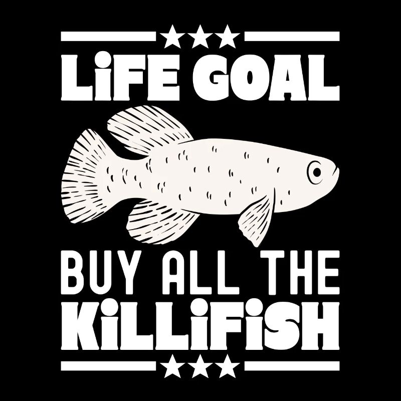 Killifisch Aquarium Fish Lovers