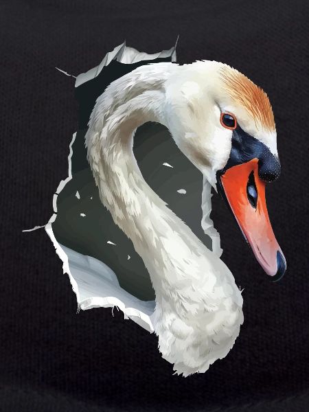 Schwan