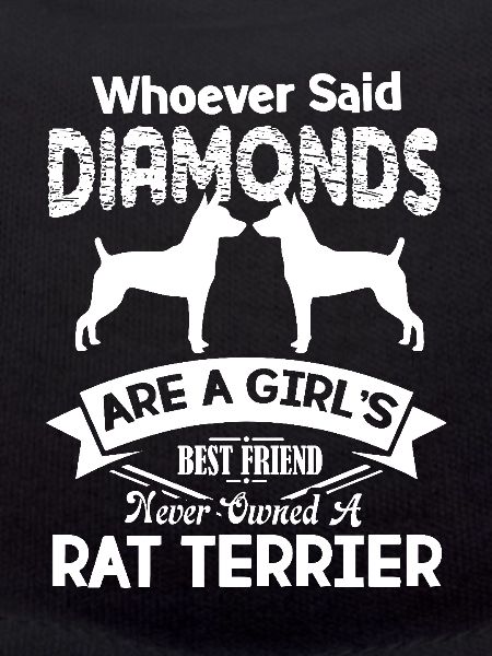 Rat Terrier Best Friend