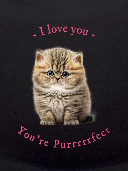 You're Purrrfect