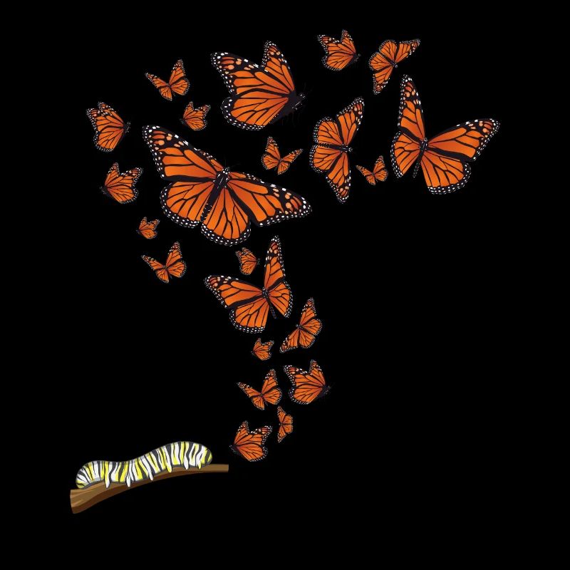 Graphique papillon monarque pour les papillons asclépiades