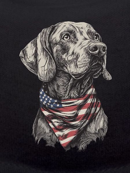 Weimaraner