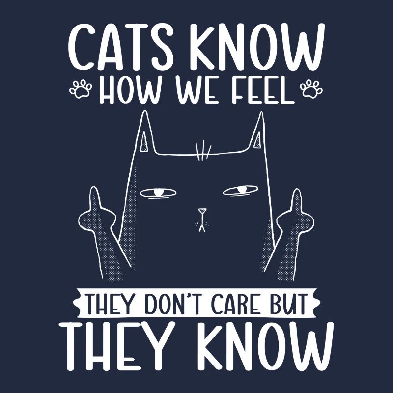Cats know how we feel funny sarcasm