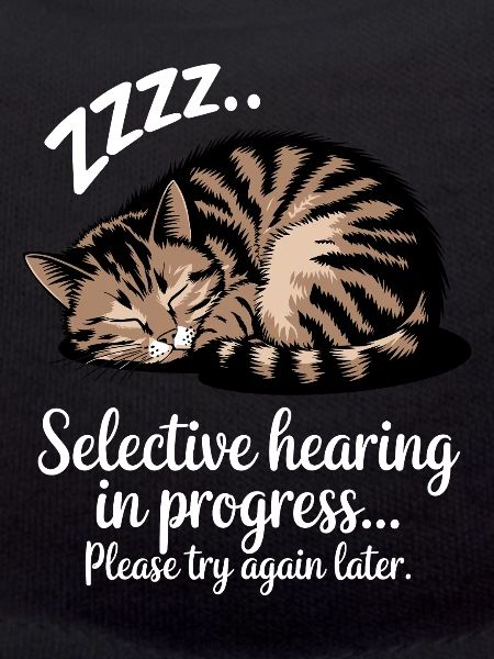 Sarcasm Kitten Cat