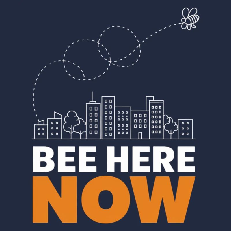 Bee Here Now Conception de paysage urbain