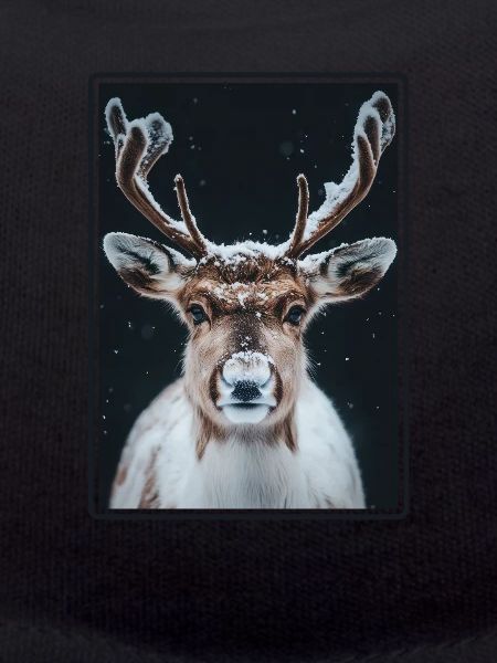 Reindeer Reindeer