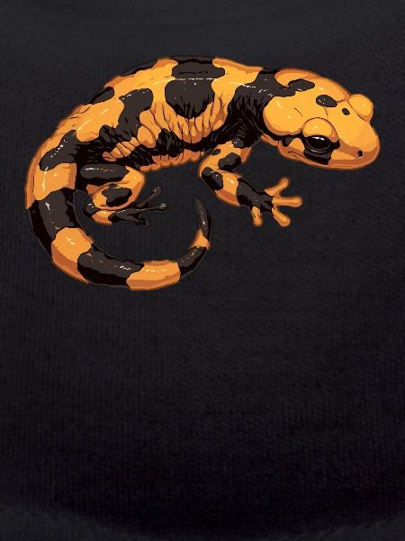 Salamanders Salamander