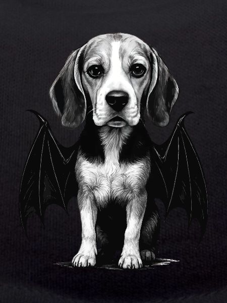 Beagle