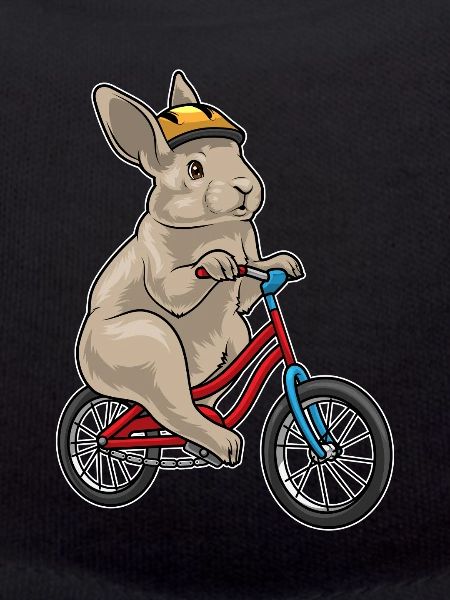 Rabbit Bike