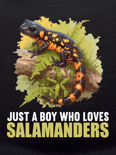 Salamanders Salamander