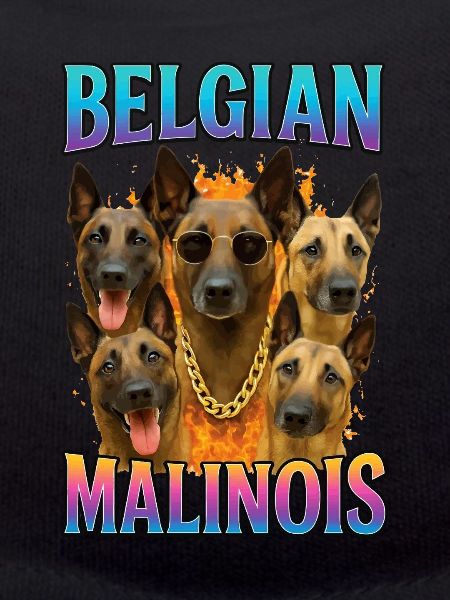 Belgischer Malinois