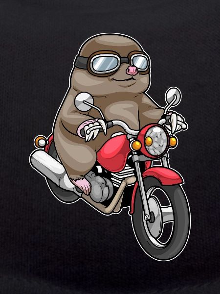 Mole Motorcycle