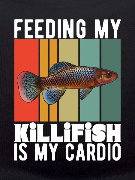 Killifisch Eierlegender Zahnkrapfen Aquarium