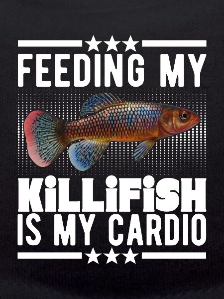 Killifisch Eierlegender Zahnkrapfen Aquarium