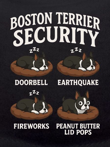 Boston Terrier