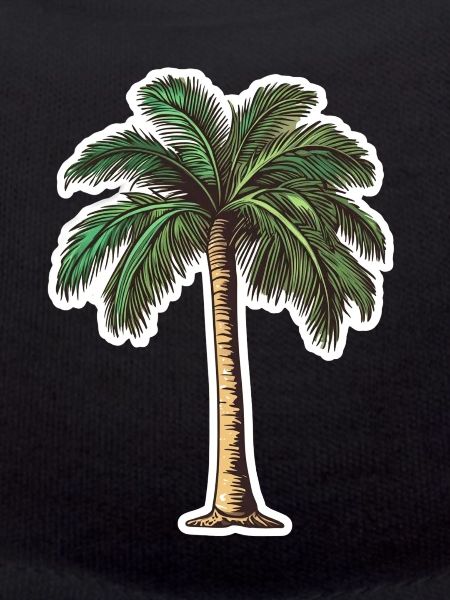 Palm tree