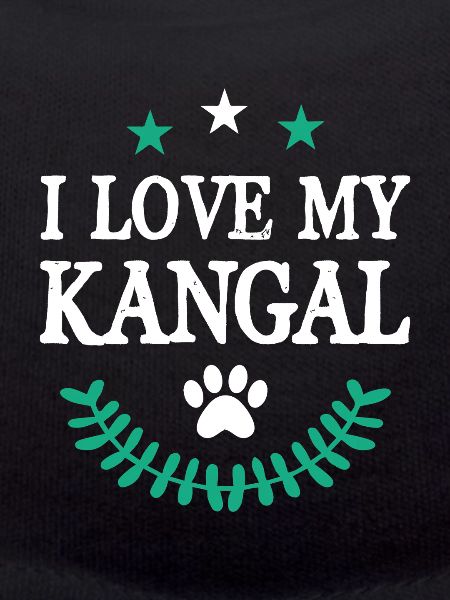 KANGAL
