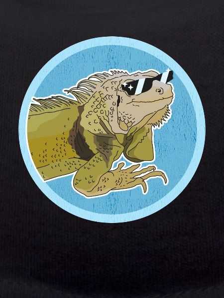 Iguana Lizard Iguanas Gifts