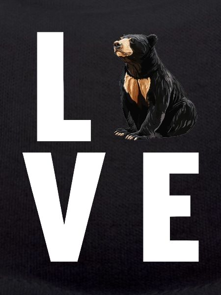 Sun Bear Malay Bear