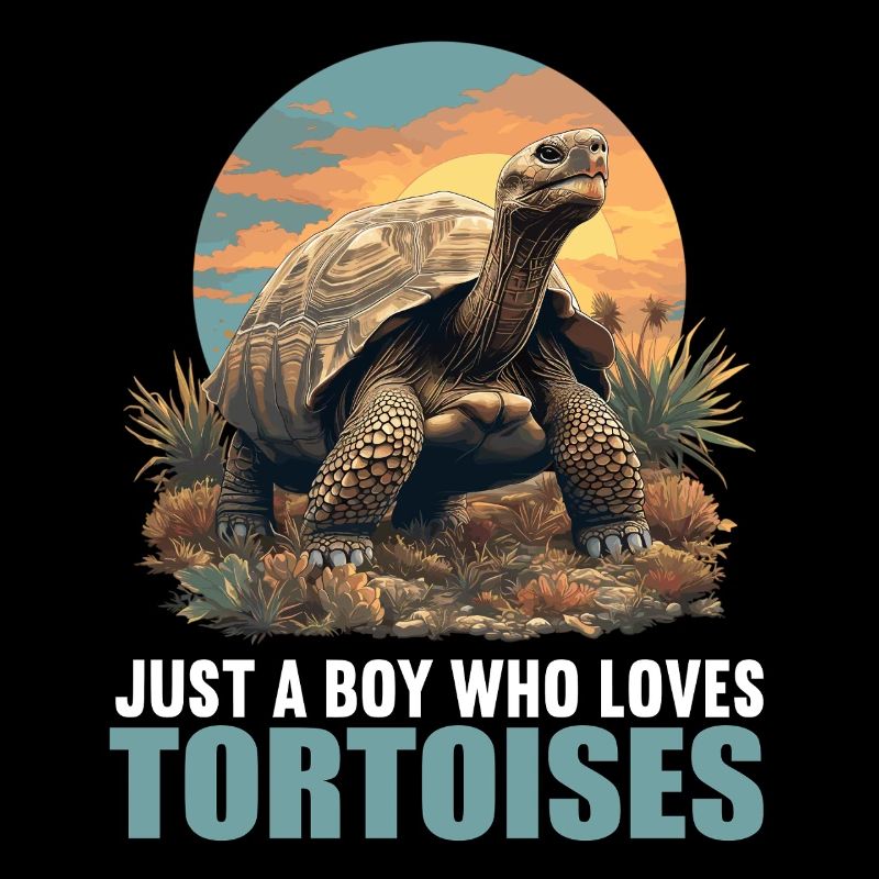 Tortues Tortue