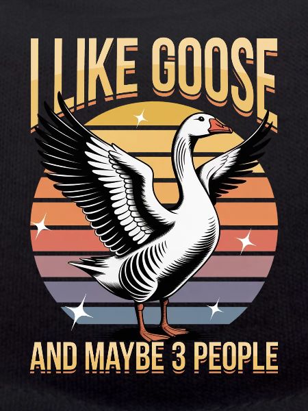 Funny Bird Goose