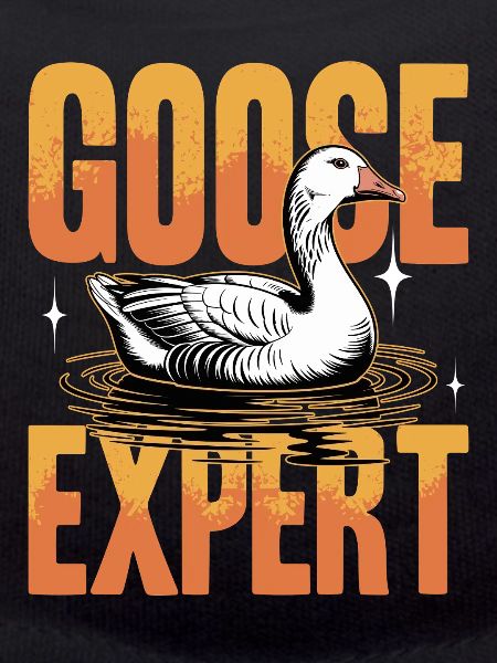 Funny Bird Goose