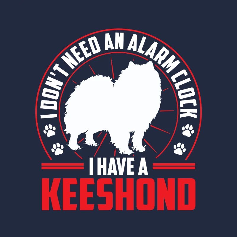 Wolfspitz is alarm German Wolfspitz