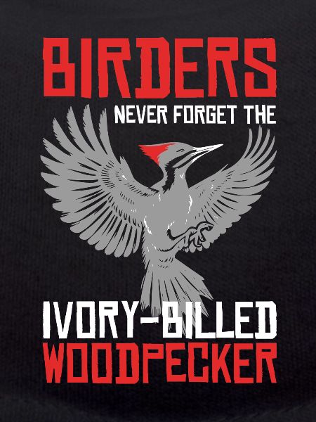 Ivory Woodpecker Birdwatcher