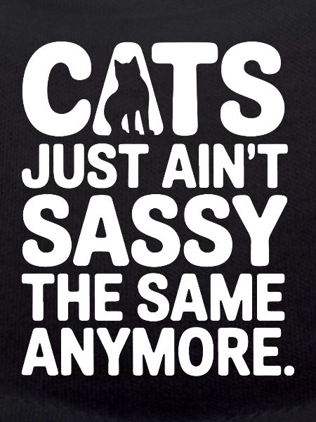 Cats Ain't Sassy Anymore