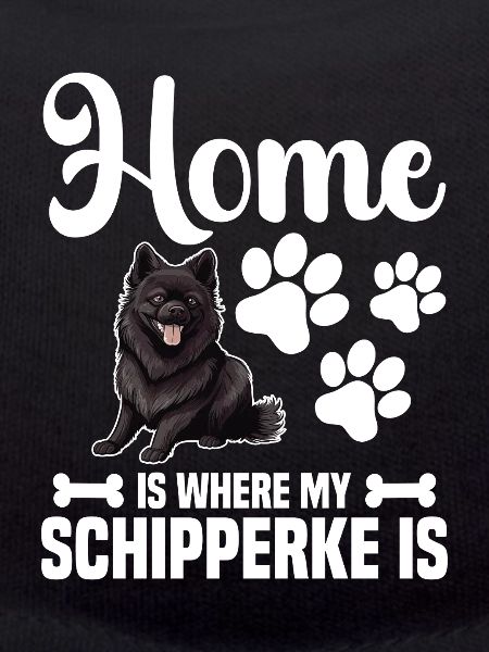 At home is my Schipperke