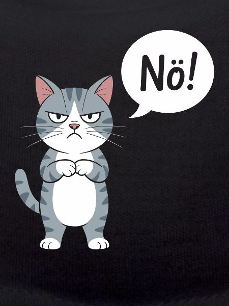 No! Funny Cat With Saying