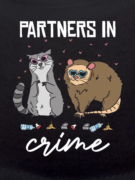 Partner in Crime Cat Duo
