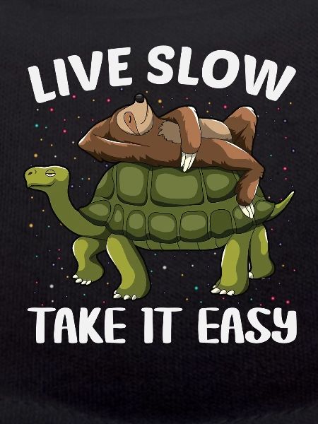Schildkröte Faultier