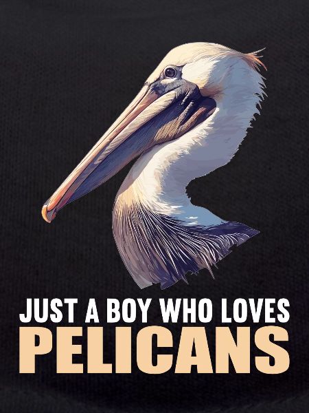 Pelicans Pelican