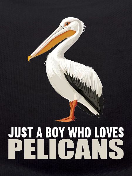 Pelikane Pelikan