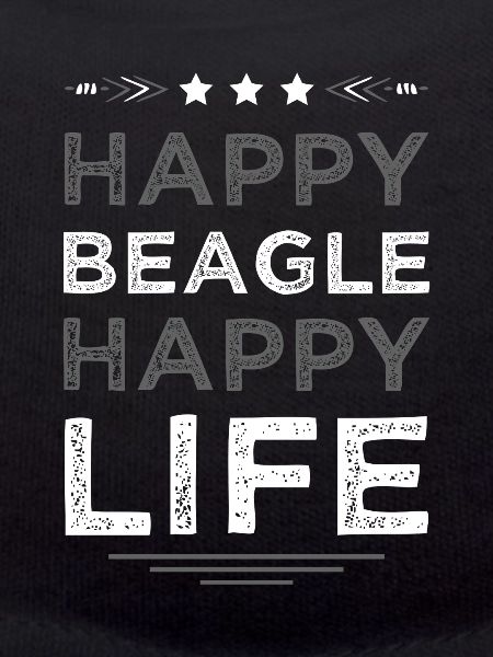 Chien Beagle Vie heureuse