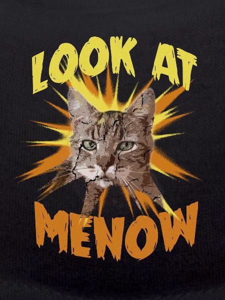 Portrait de chat Regardez-moi maintenant