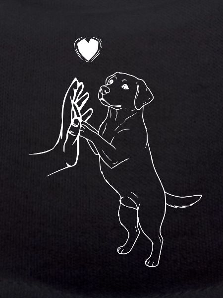 Labrador Retriever Lover Dog