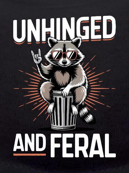 Funny Raccoon