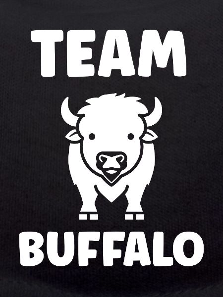Bison