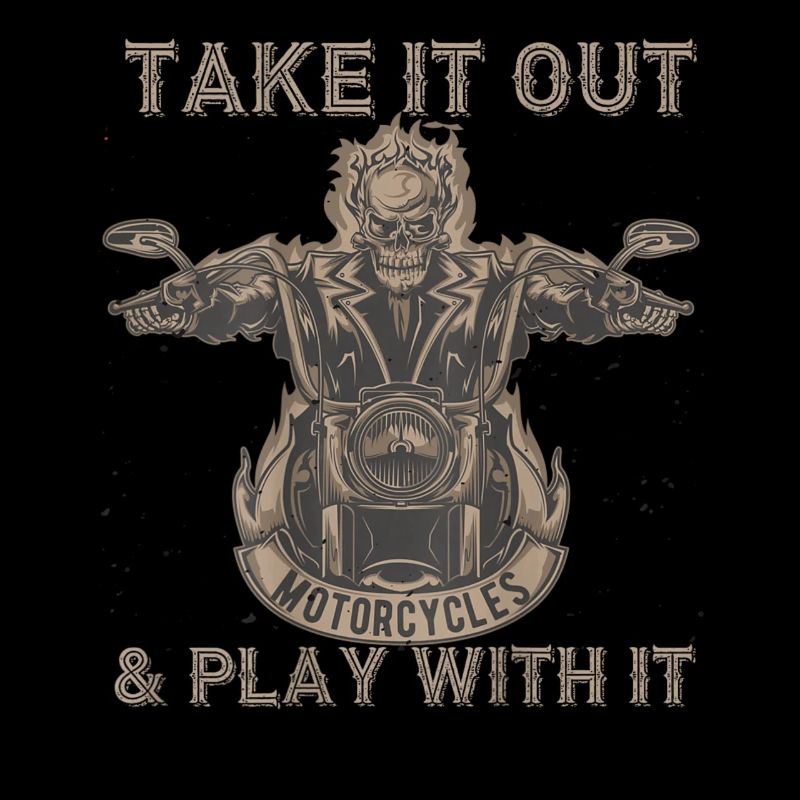 Take It Out Motorcycles Skull