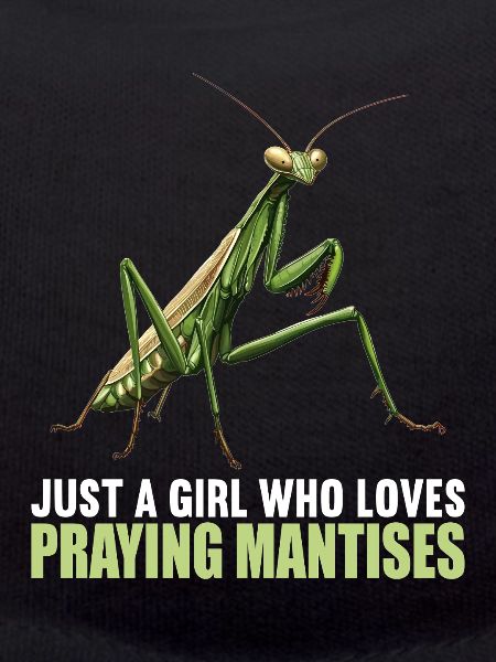 Praying mantises Praying mantis