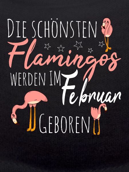 February Birthday Flamingo Saying Funny