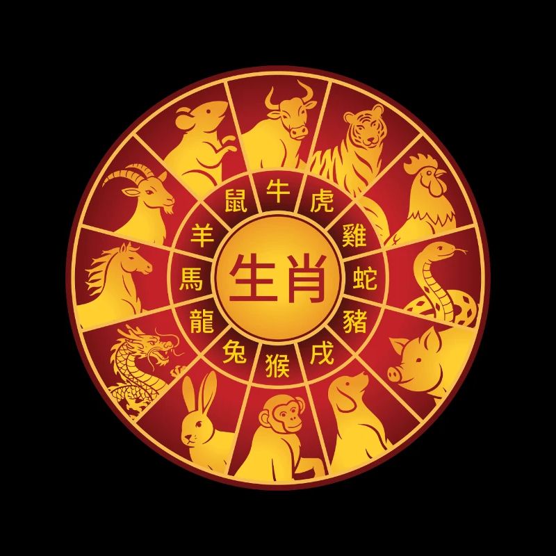 Chinesisches Neujahr Chinesisches Tierzeichen Bagua