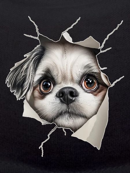 Shih Tzu