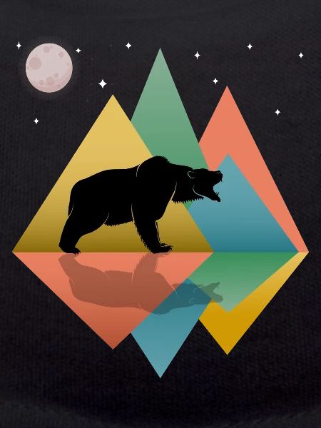 Bear In The Mountains 